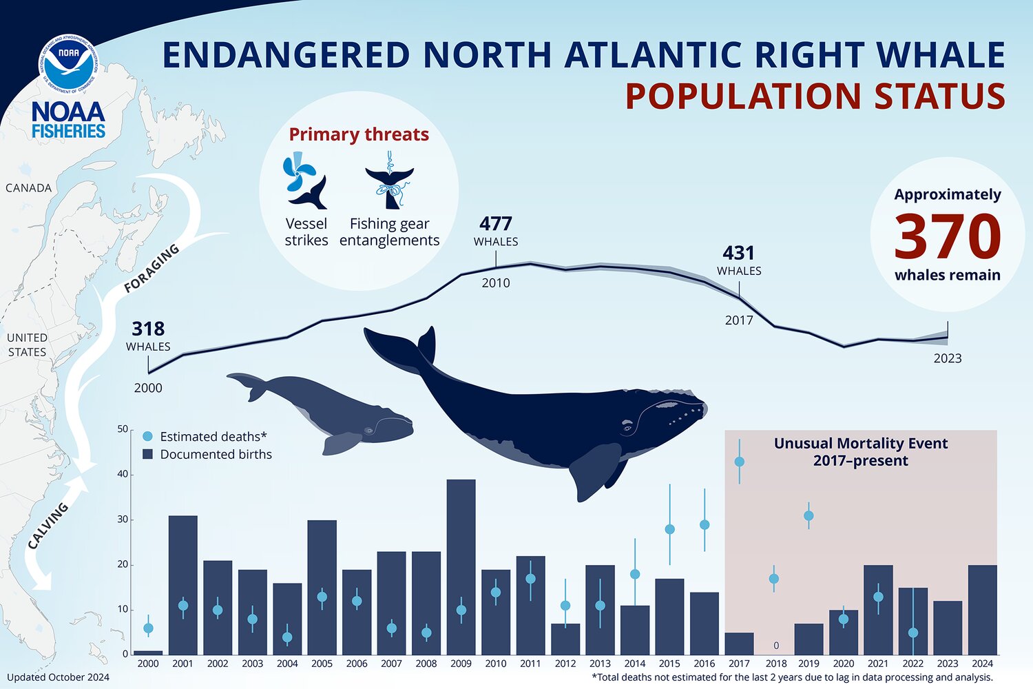 Endangered North Atlantic right whales spotted off Orange Beach Gulf